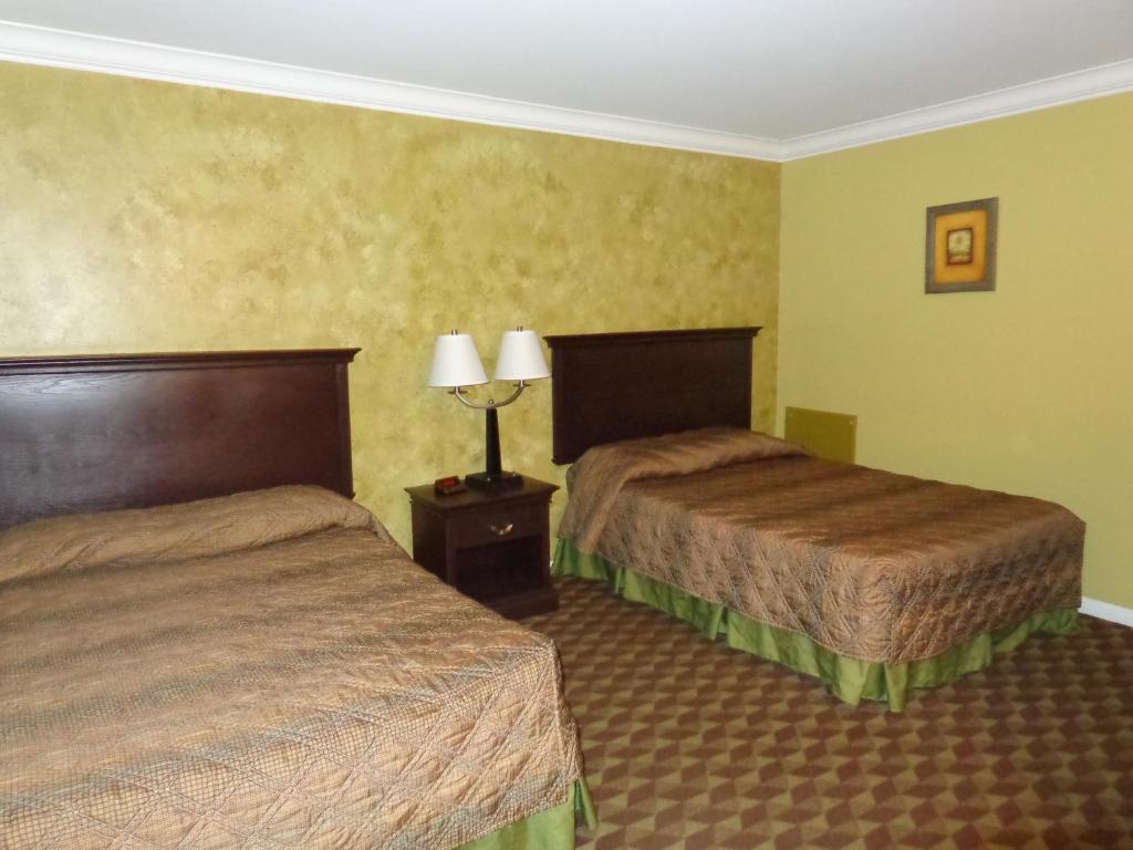 Spartan Motel - Rochester Habitación foto