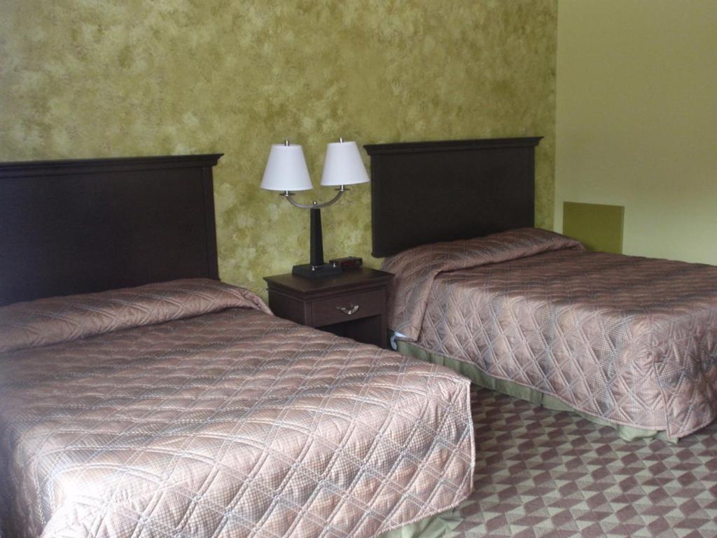 Spartan Motel - Rochester Habitación foto